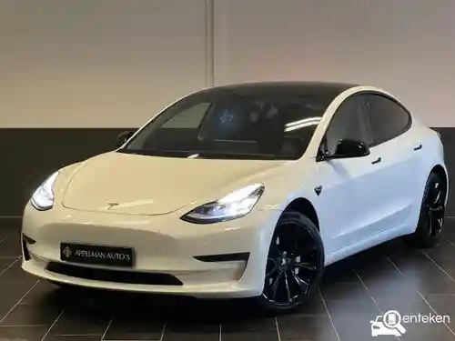 Tesla Model 3 Standard Range Plus 2019