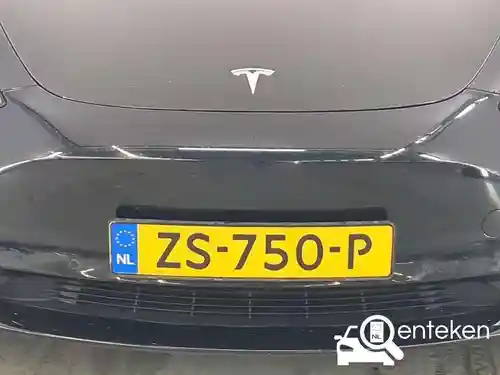 Tesla Model 3 Standard Range Plus 2019