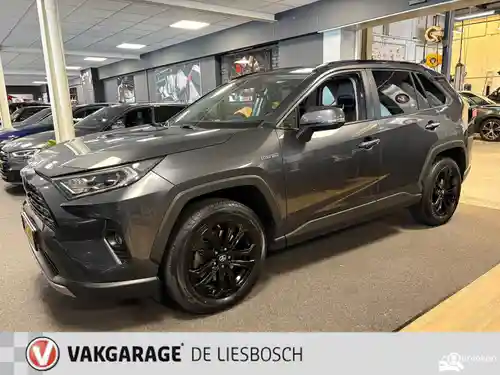 Toyota RAV4 2.5 Hybrid 2019